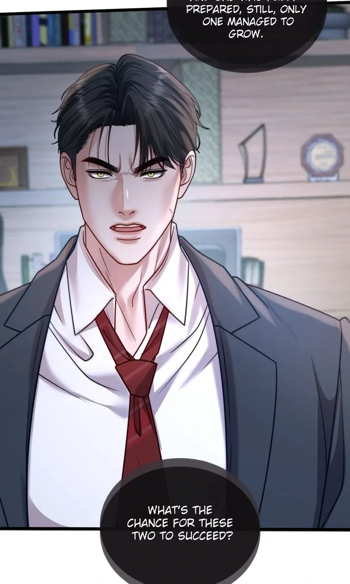 The Billionaire’s Replacement Wife Chapter 25 page 16