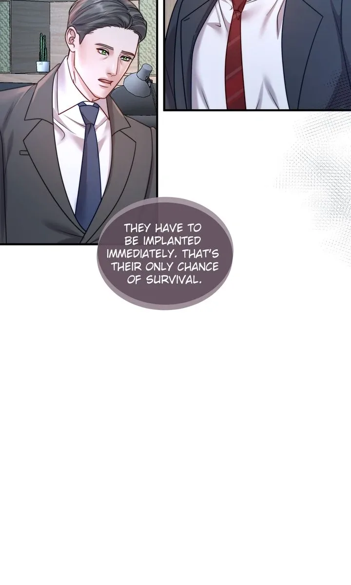 The Billionaire’s Replacement Wife Chapter 25 page 13