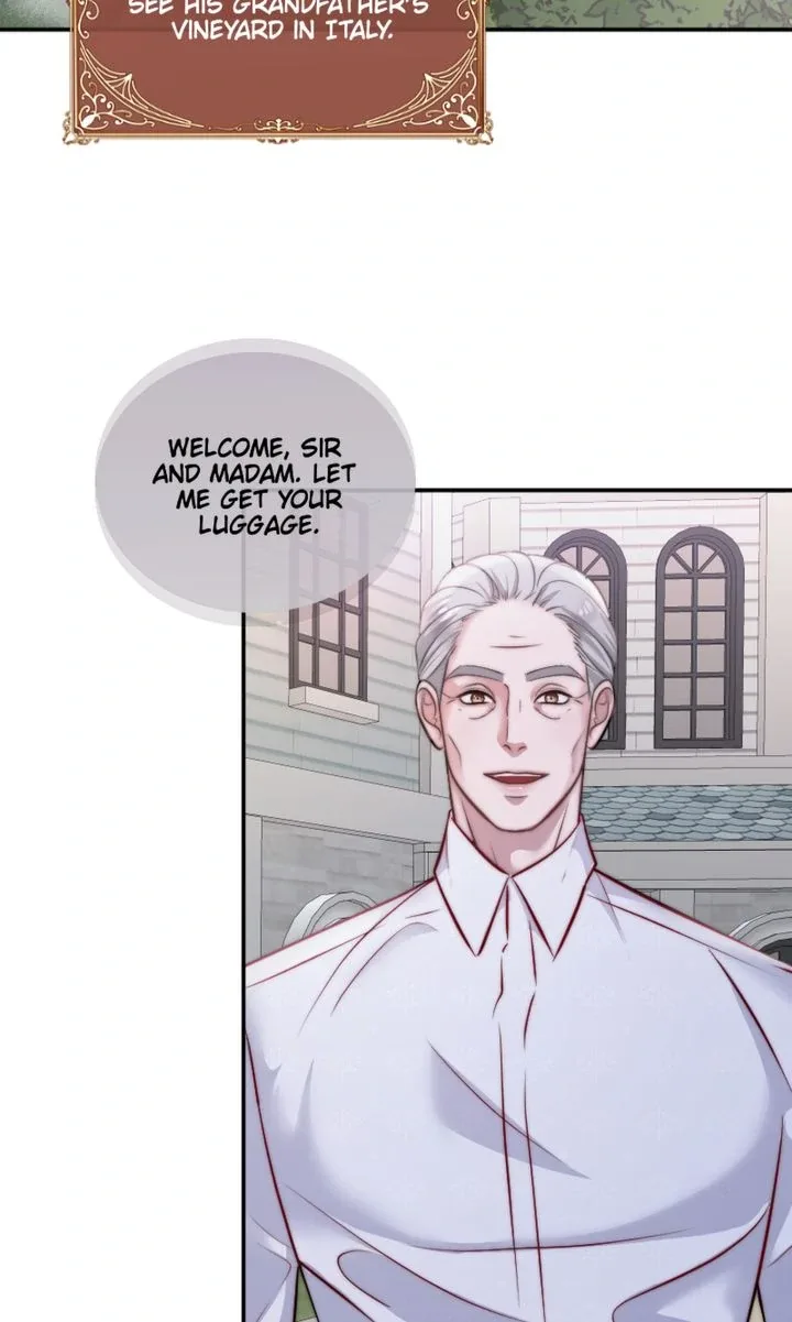 The Billionaire’s Replacement Wife Chapter 27 page 19