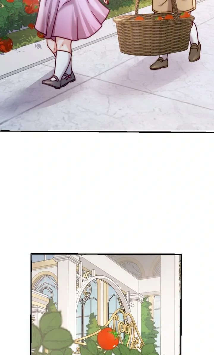 The Billionaire’s Replacement Wife Chapter 28 page 33