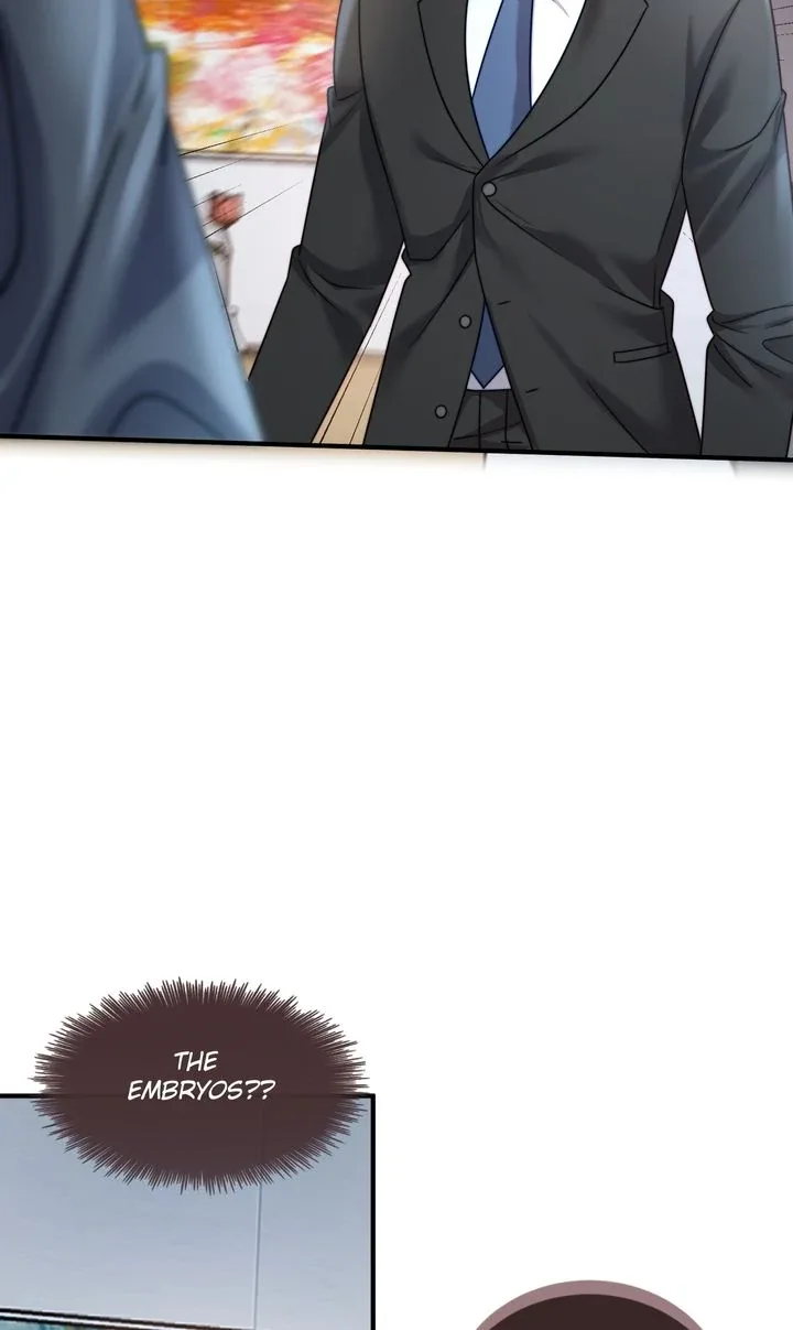 The Billionaire’s Replacement Wife Chapter 24 page 41