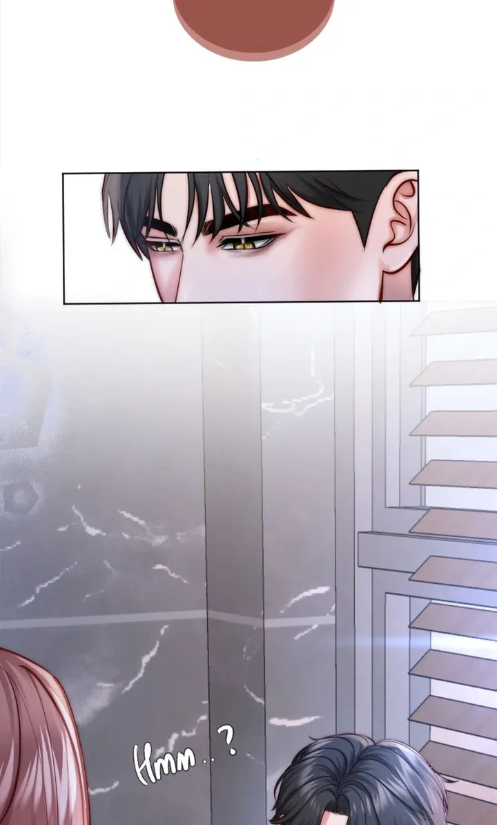 The Billionaire’s Replacement Wife Chapter 30 page 16