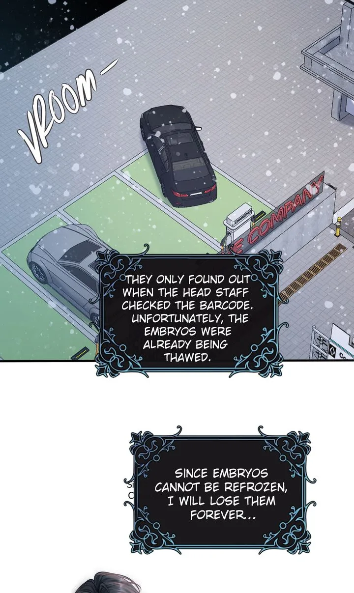 The Billionaire’s Replacement Wife Chapter 24 page 61