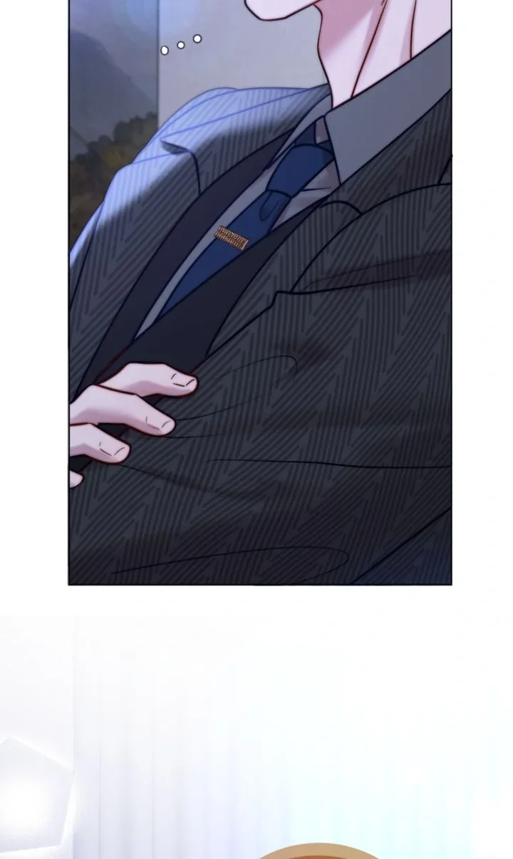 The Billionaire’s Replacement Wife Chapter 32 page 32