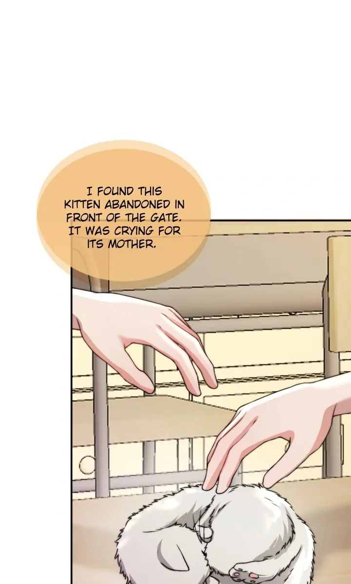 The Billionaire’s Replacement Wife Chapter 34 page 56