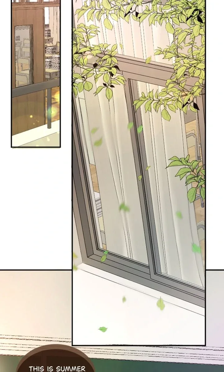 The Billionaire’s Replacement Wife Chapter 34 page 45