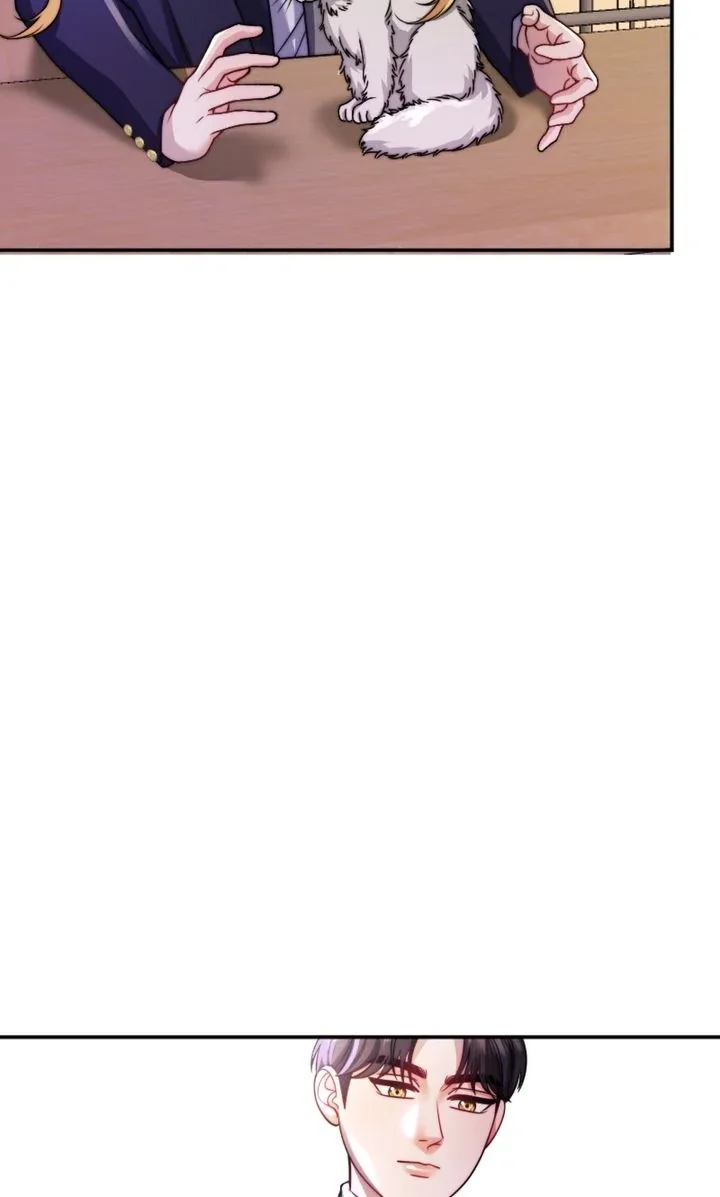 The Billionaire’s Replacement Wife Chapter 34 page 65