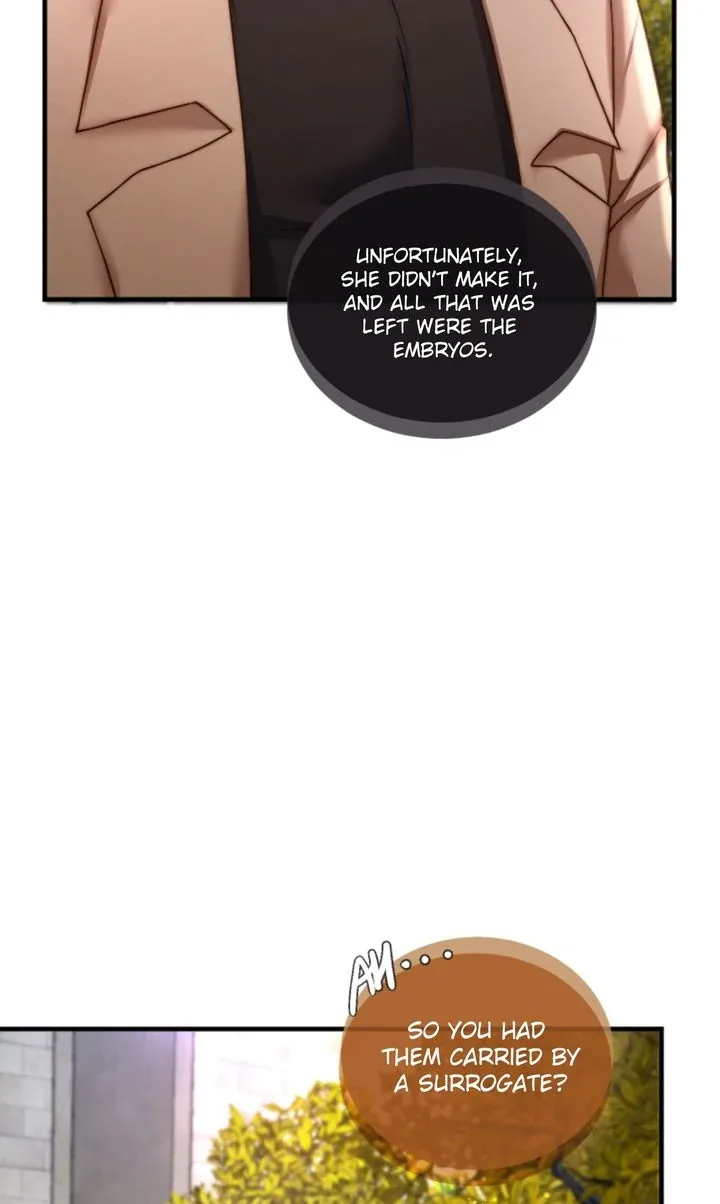 The Billionaire’s Replacement Wife Chapter 35 page 18