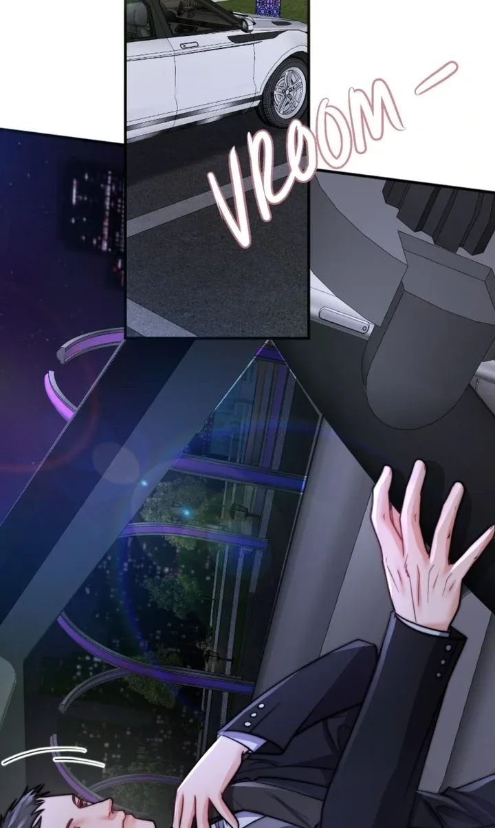 The Billionaire’s Replacement Wife Chapter 33 page 67