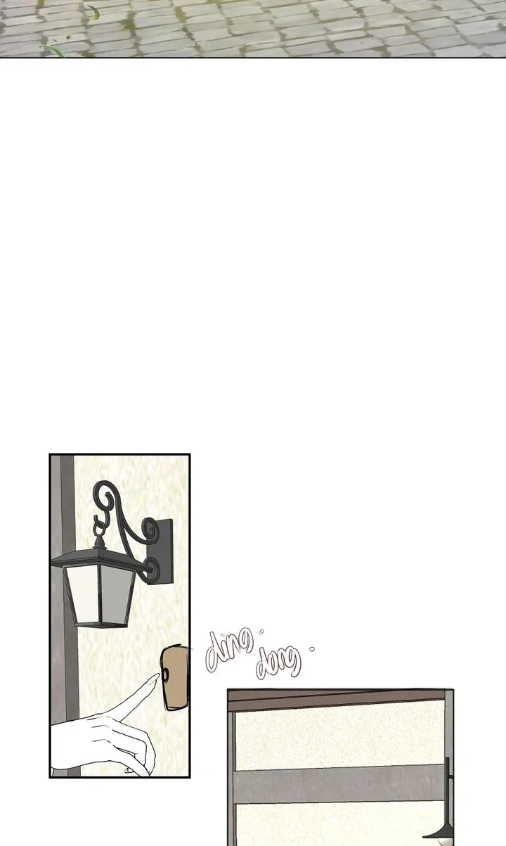 The Billionaire’s Replacement Wife Chapter 43 page 45