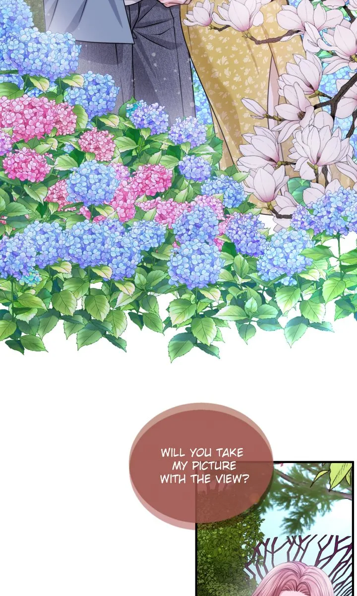 The Billionaire’s Replacement Wife Chapter 47 page 81
