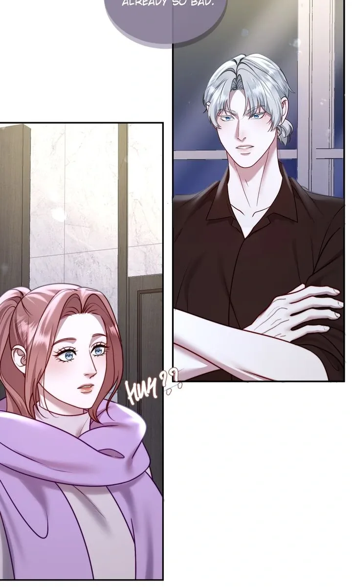 The Billionaire’s Replacement Wife Chapter 57 page 41