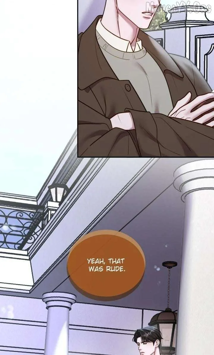 The Billionaire’s Replacement Wife Chapter 61 page 11