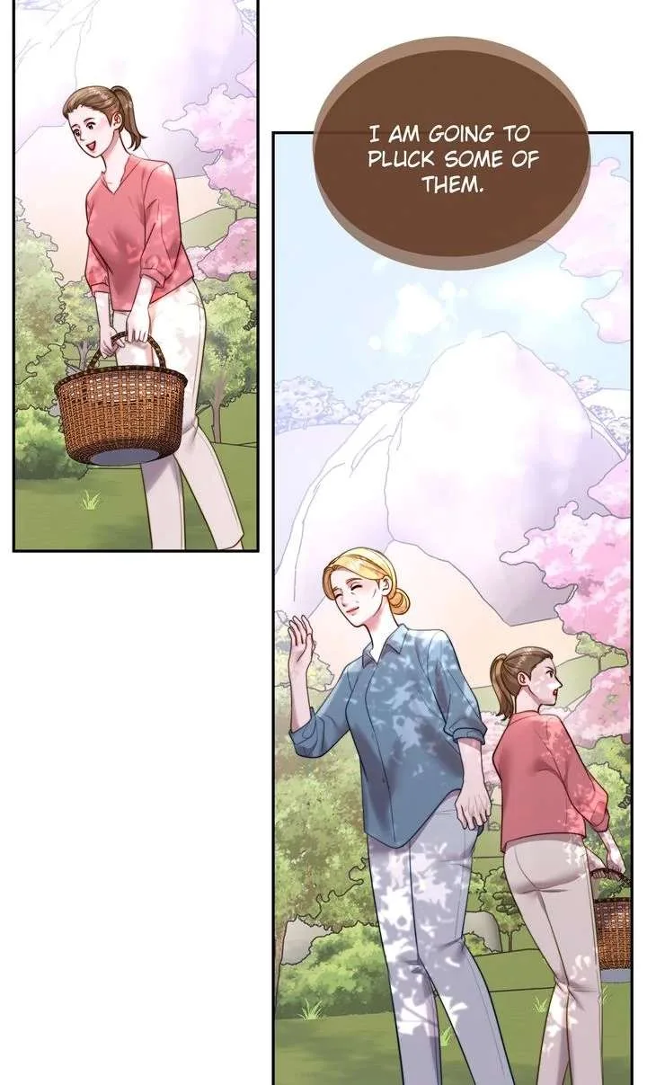 The Billionaire’s Replacement Wife Chapter 63 page 17