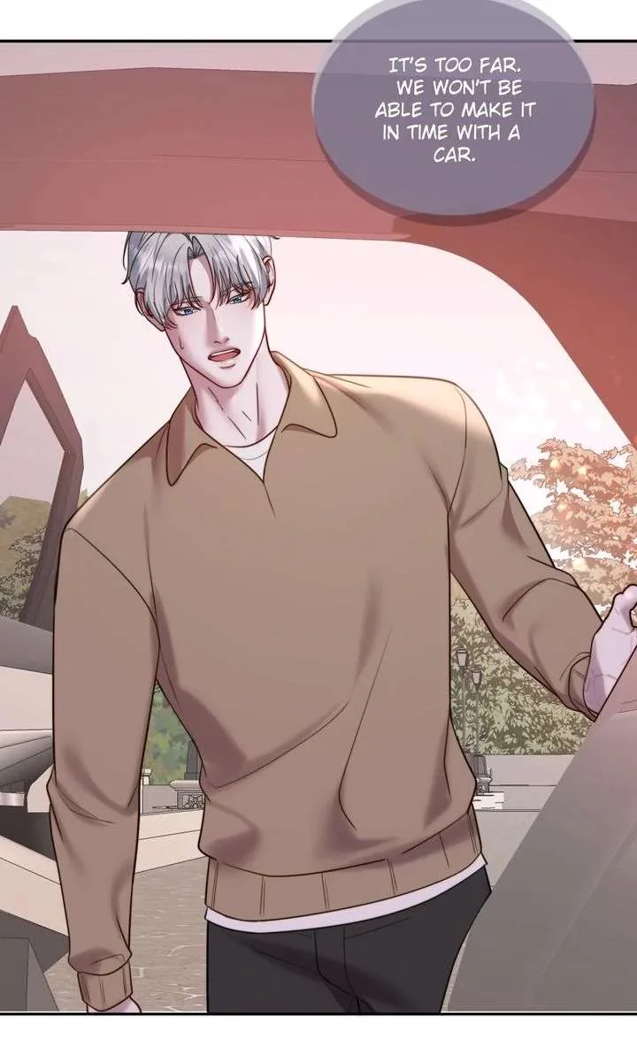 The Billionaire’s Replacement Wife Chapter 64 page 29