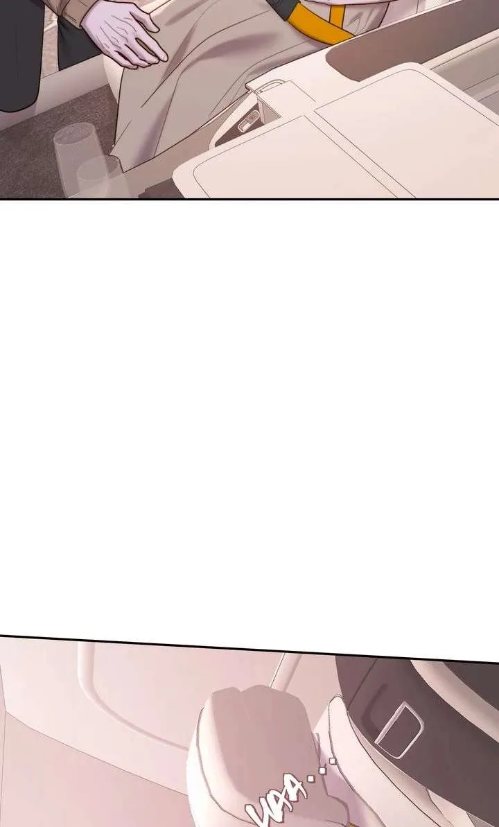 The Billionaire’s Replacement Wife Chapter 64 page 47