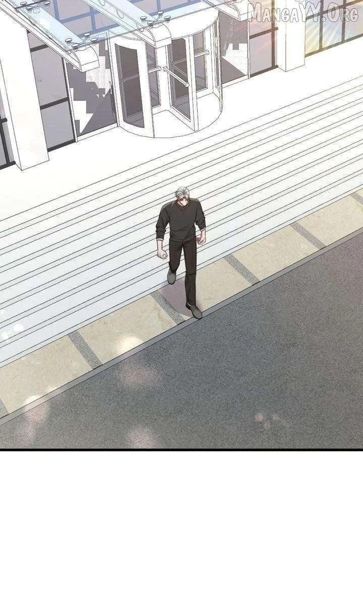The Billionaire’s Replacement Wife Chapter 66 page 30