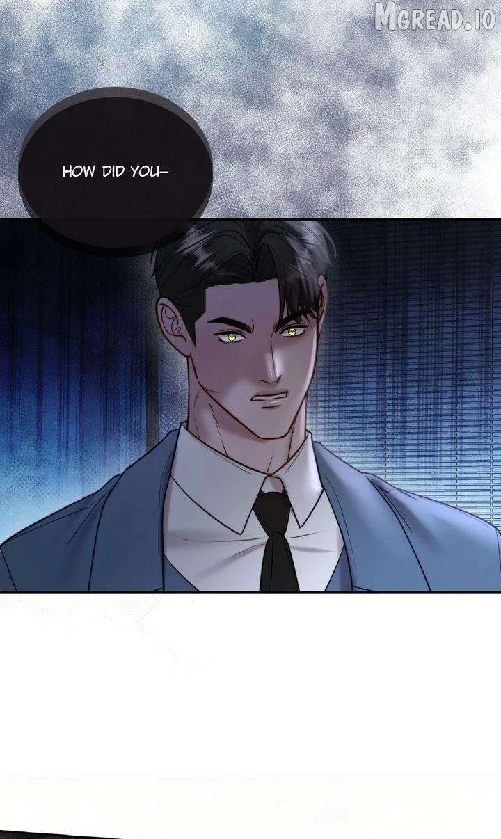 The Billionaire’s Replacement Wife Chapter 76 page 24
