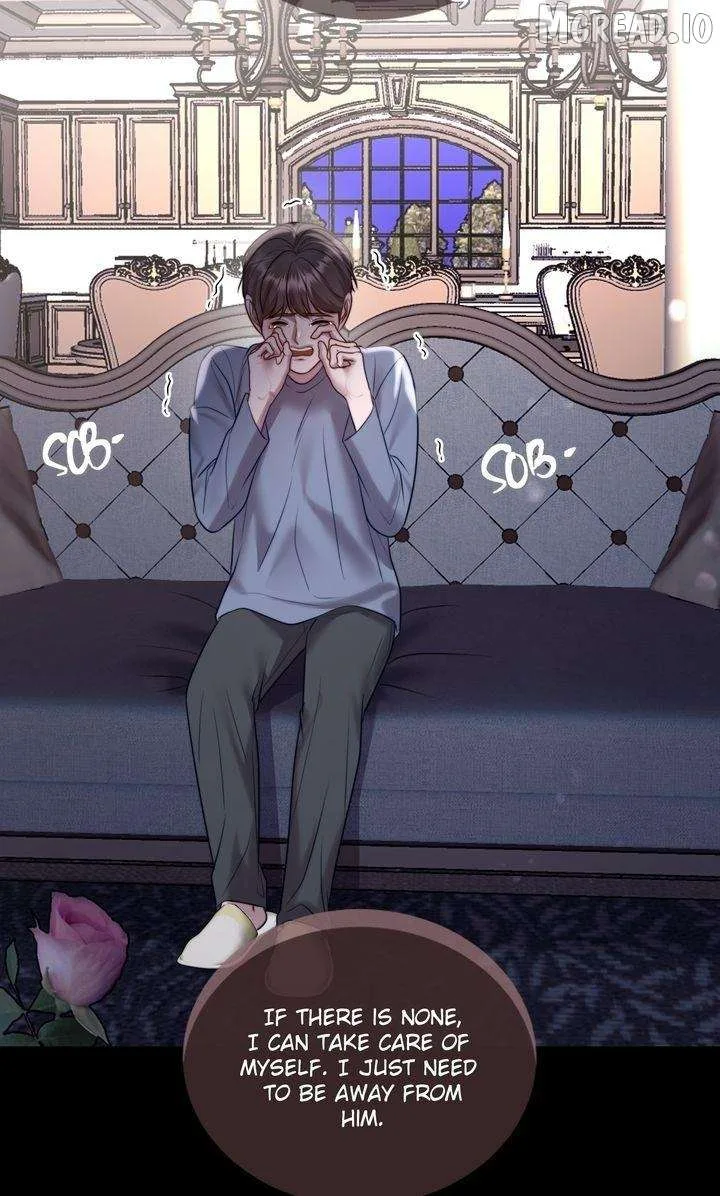 The Billionaire’s Replacement Wife Chapter 79 page 35