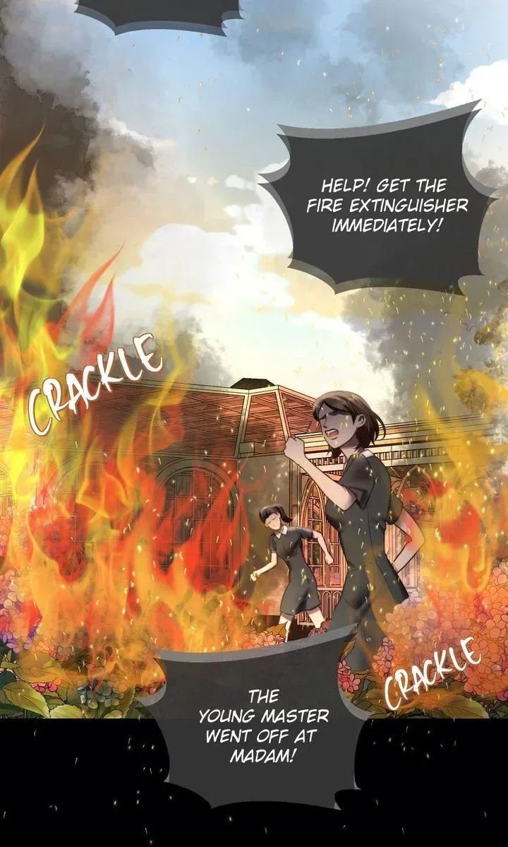 The Billionaire’s Replacement Wife Chapter 84 page 30