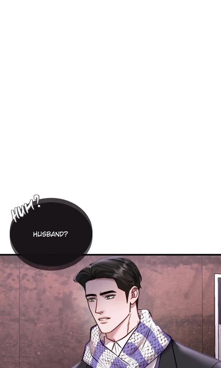 The Billionaire’s Replacement Wife Chapter 85 page 31