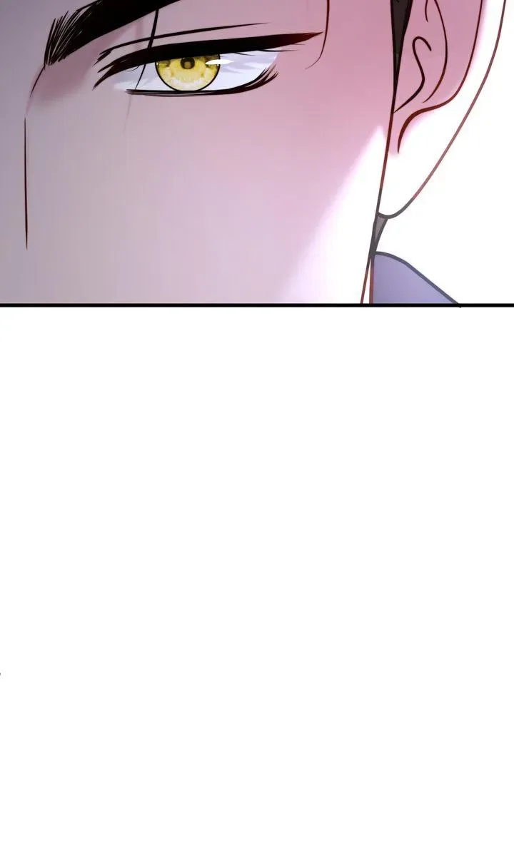 The Billionaire’s Replacement Wife Chapter 85 page 95