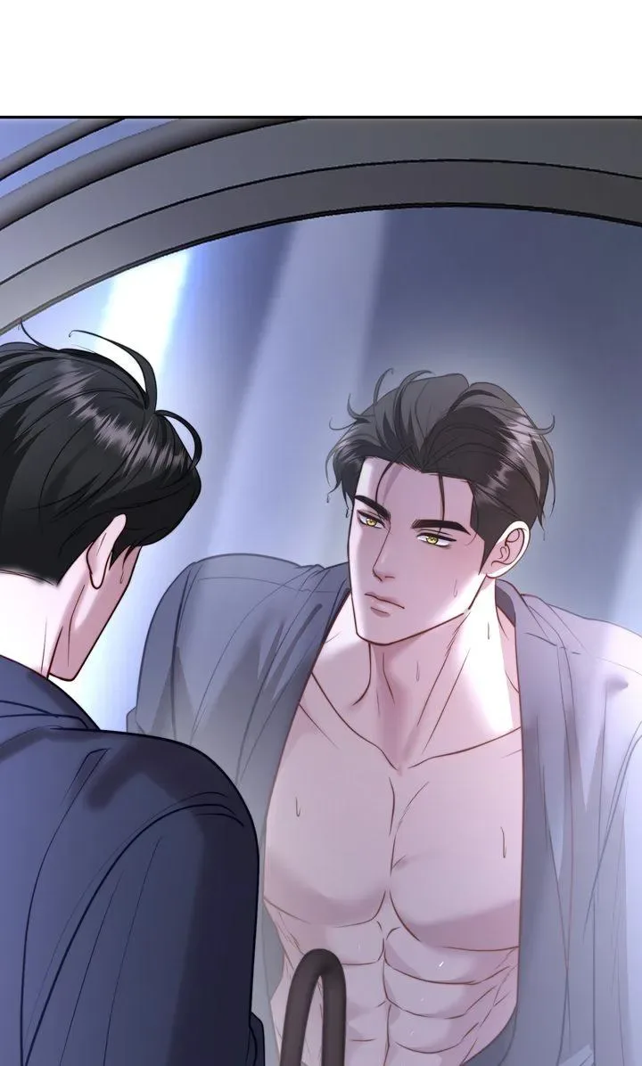 The Billionaire’s Replacement Wife Chapter 85 page 93