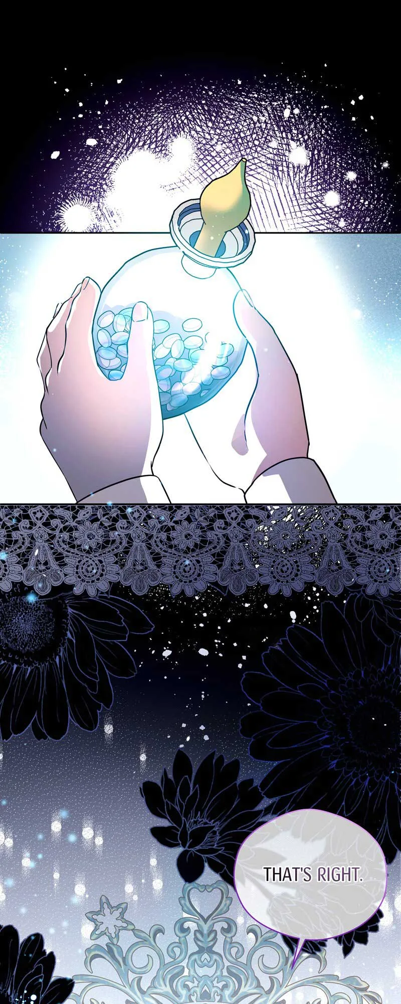 The Dame In Shining Armor Chapter 1 page 11