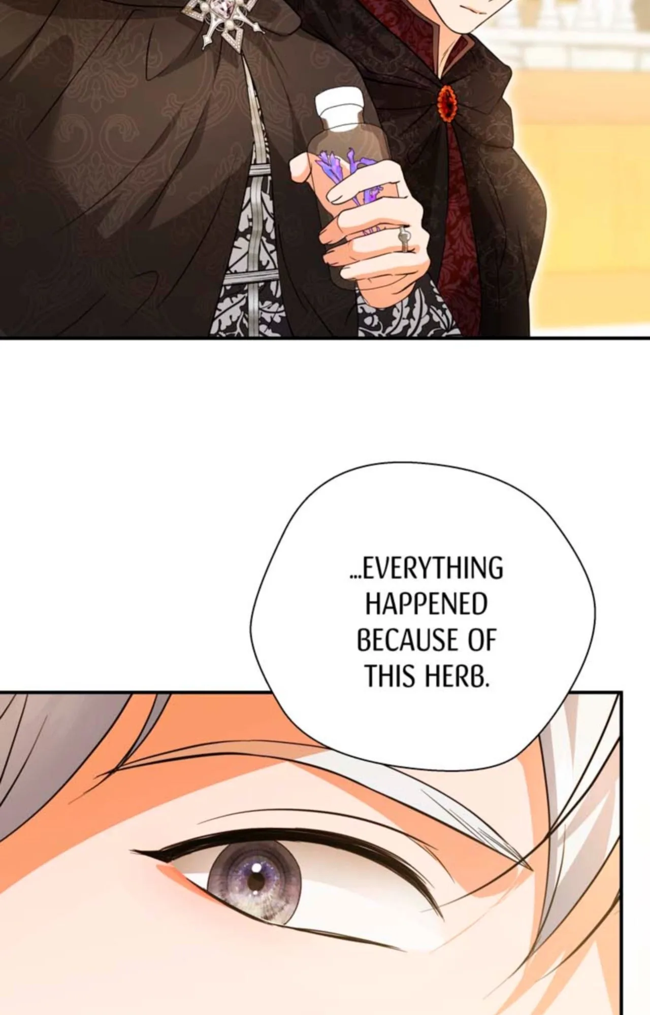 The Dame In Shining Armor Chapter 63 page 71