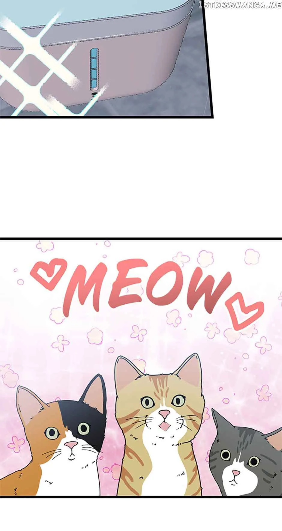The Dignity Of Romance Chapter 35 page 41