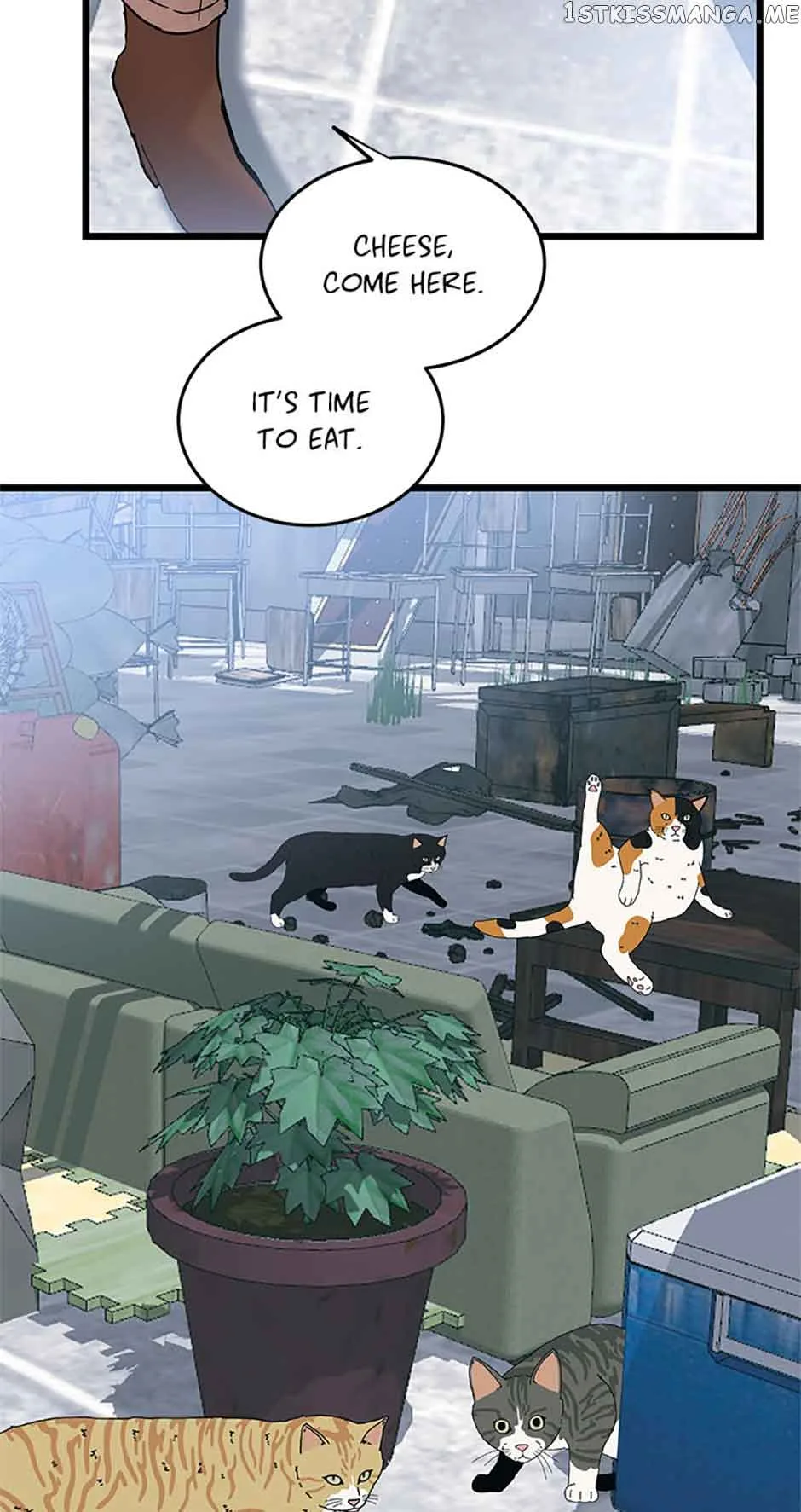 The Dignity Of Romance Chapter 35 page 37