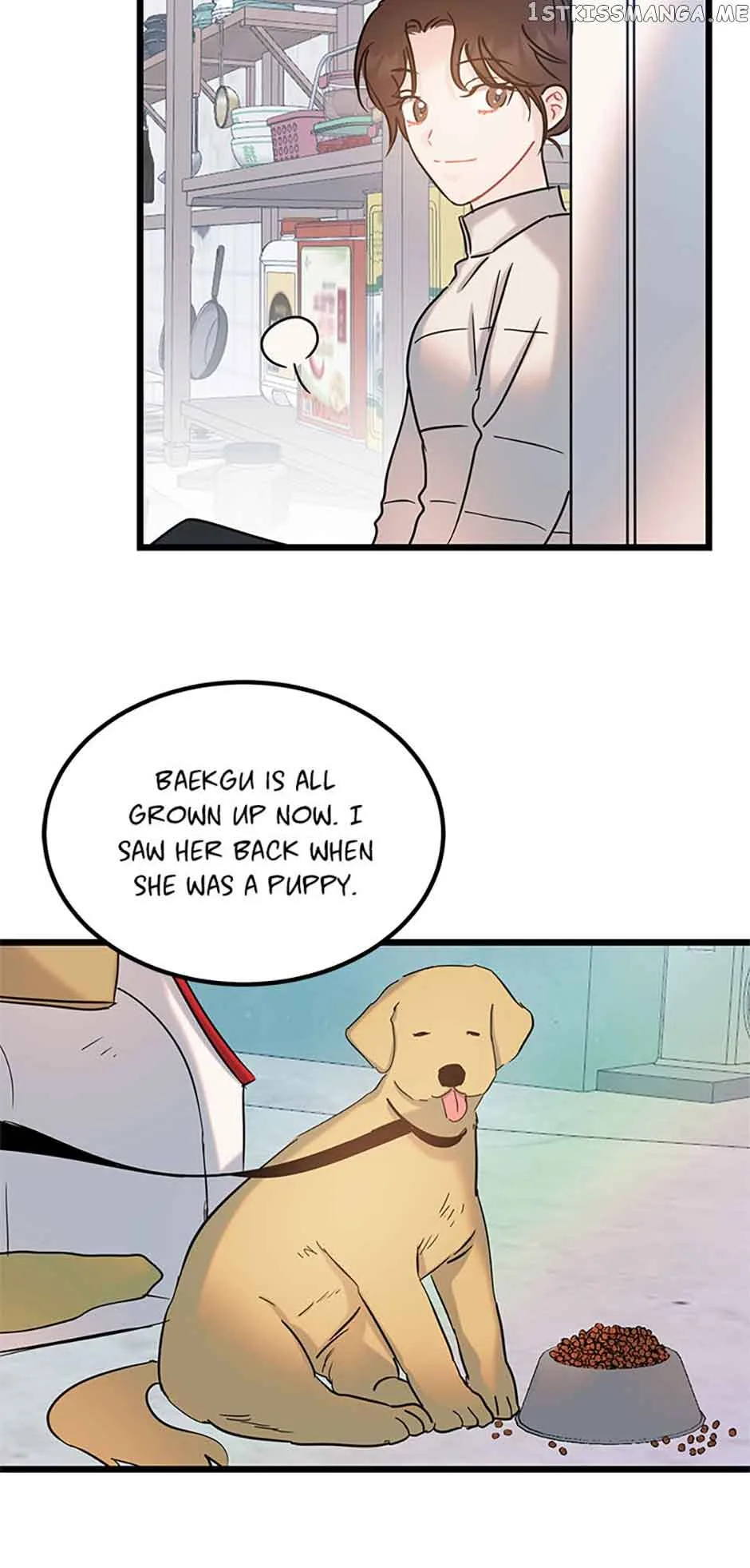 The Dignity Of Romance Chapter 38 page 30