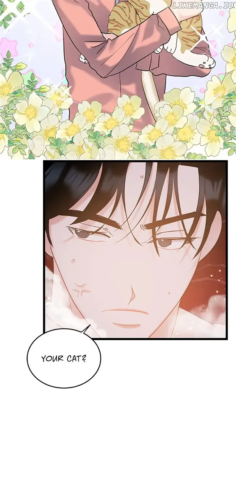 The Dignity Of Romance Chapter 71 page 20