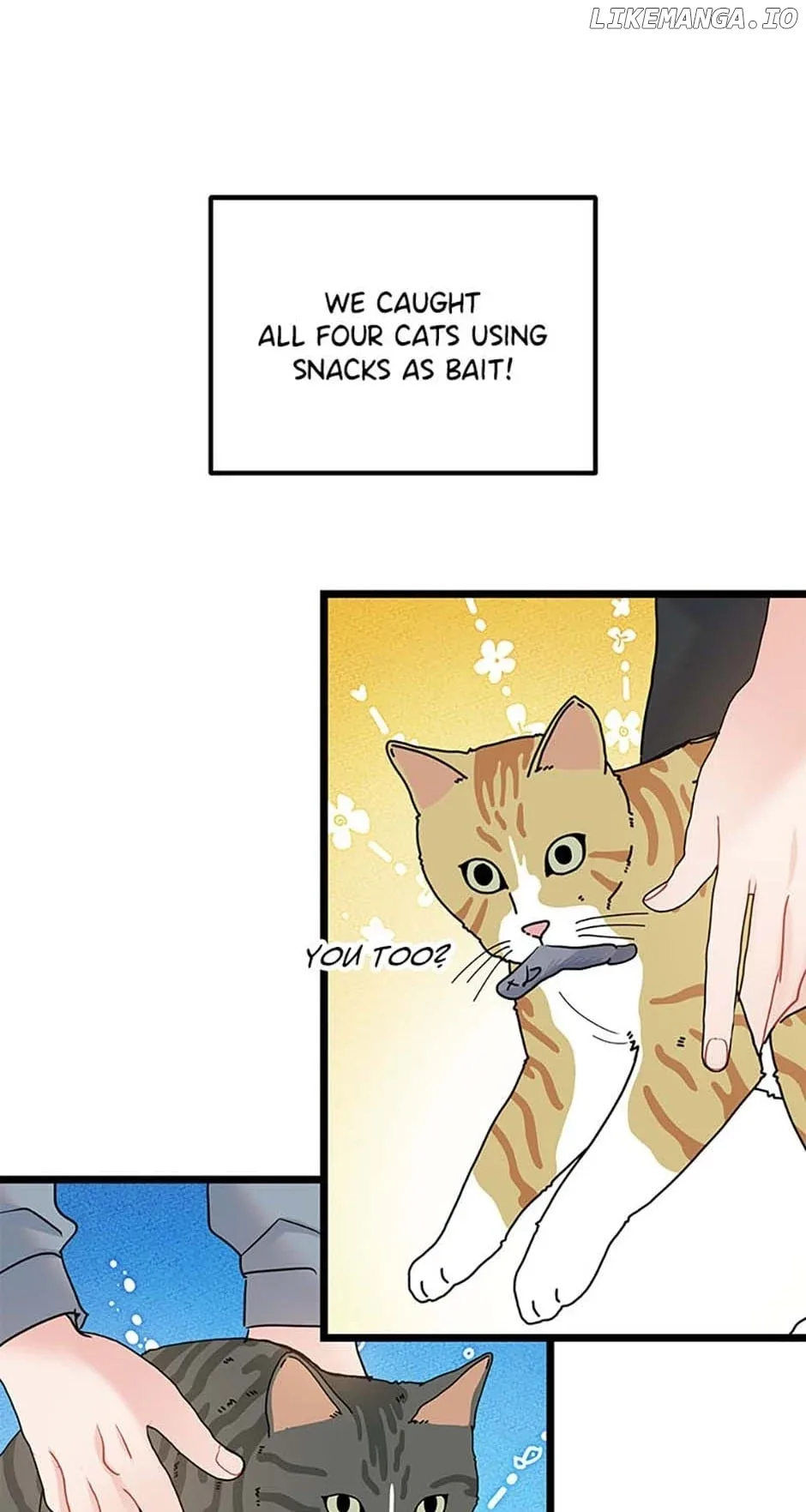 The Dignity Of Romance Chapter 81 page 9