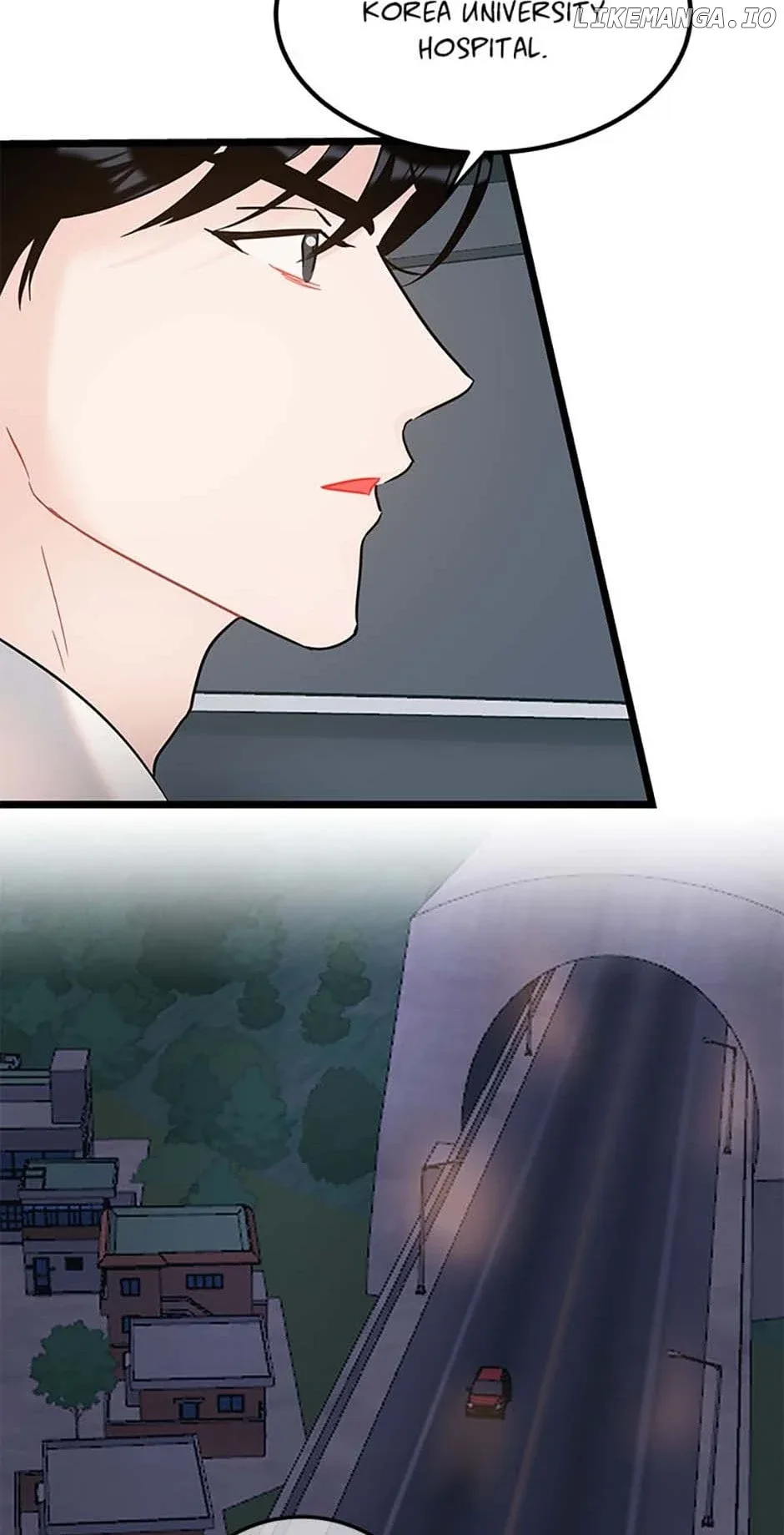 The Dignity Of Romance Chapter 85 page 30