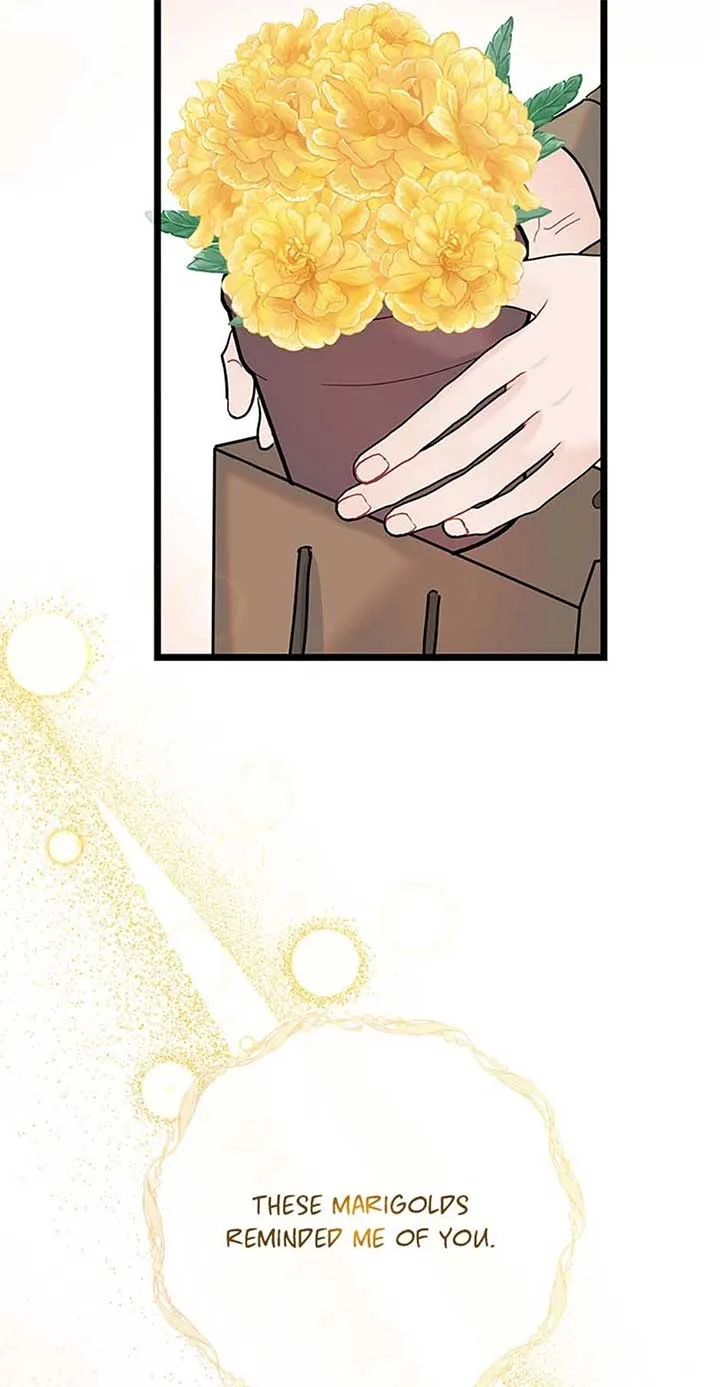 The Dignity Of Romance Chapter 90 page 71