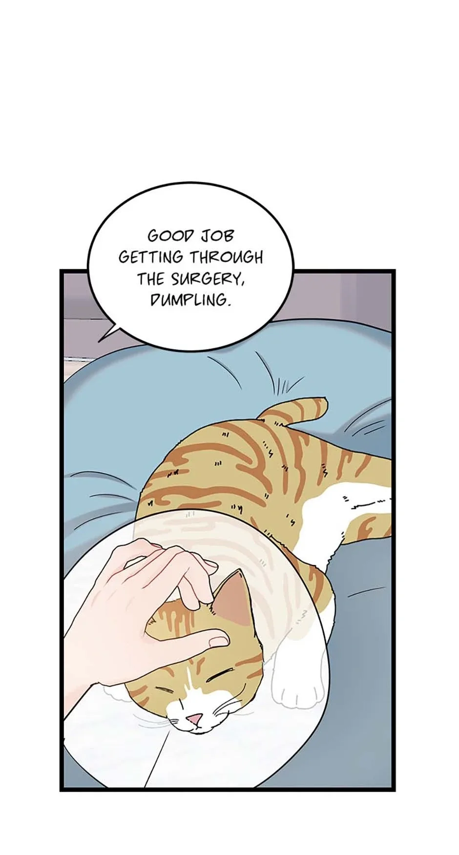 The Dignity Of Romance Chapter 101 page 19