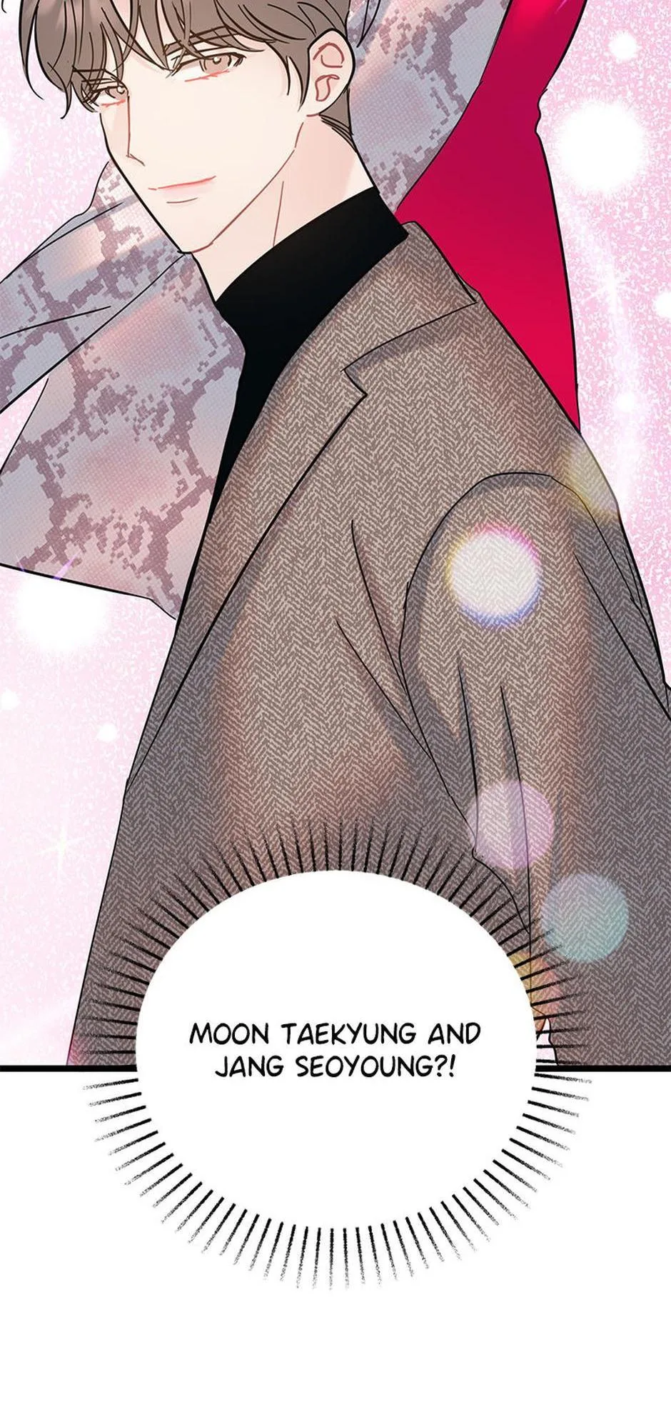 The Dignity Of Romance Chapter 107 page 12