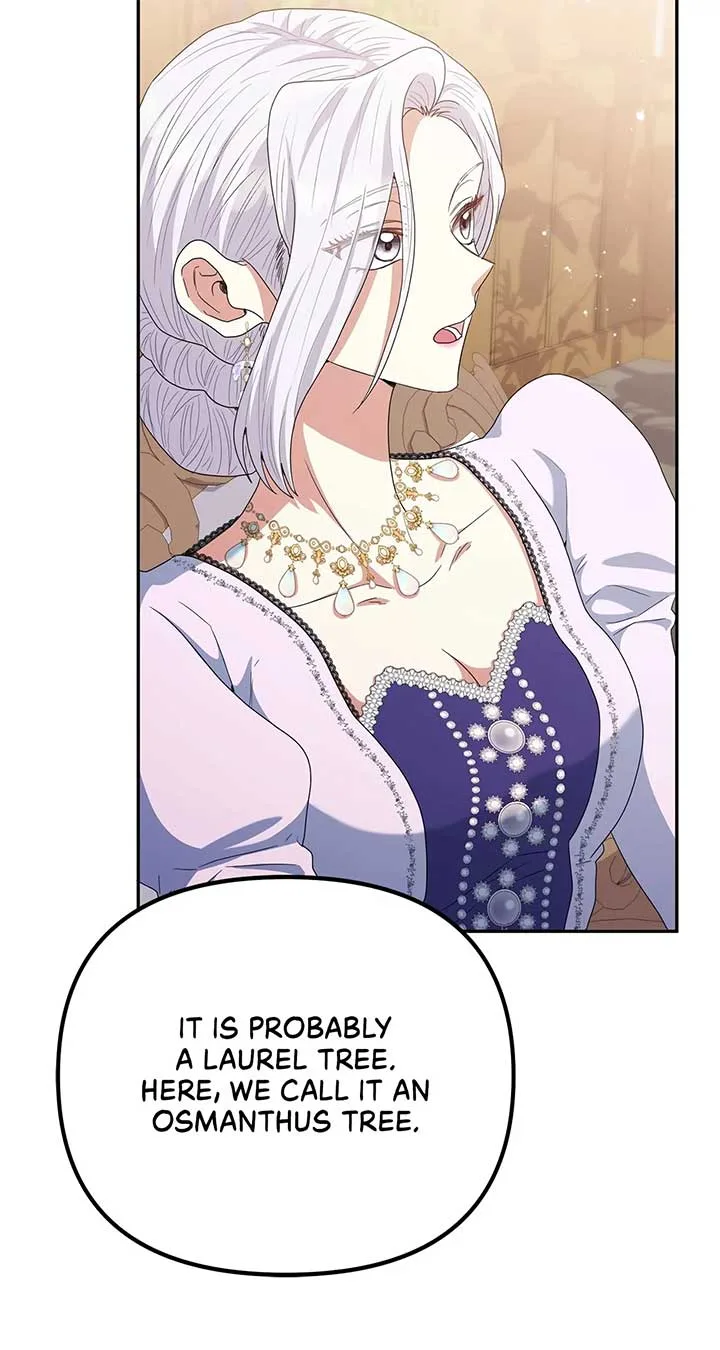 The Esteemed Lady of the Tea Garden Chapter 29 page 67