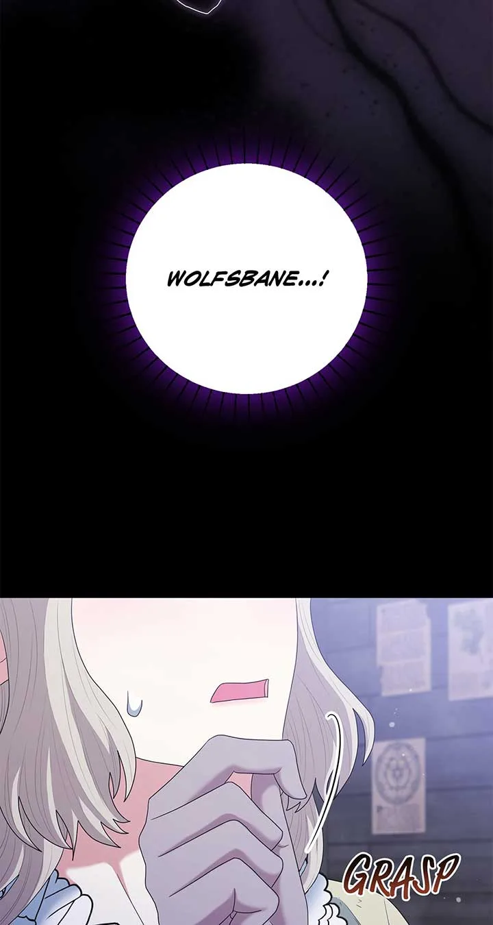 The Esteemed Lady of the Tea Garden Chapter 50 page 64