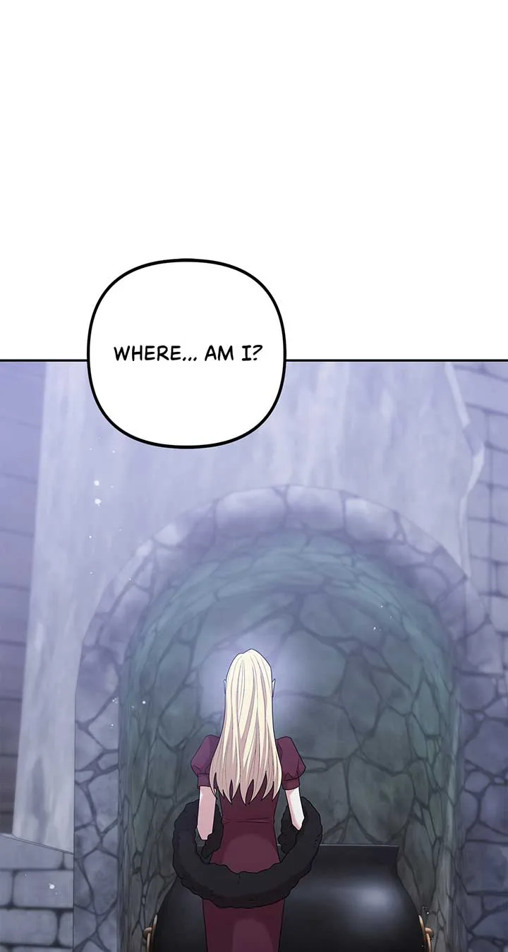 The Esteemed Lady of the Tea Garden Chapter 50 page 12