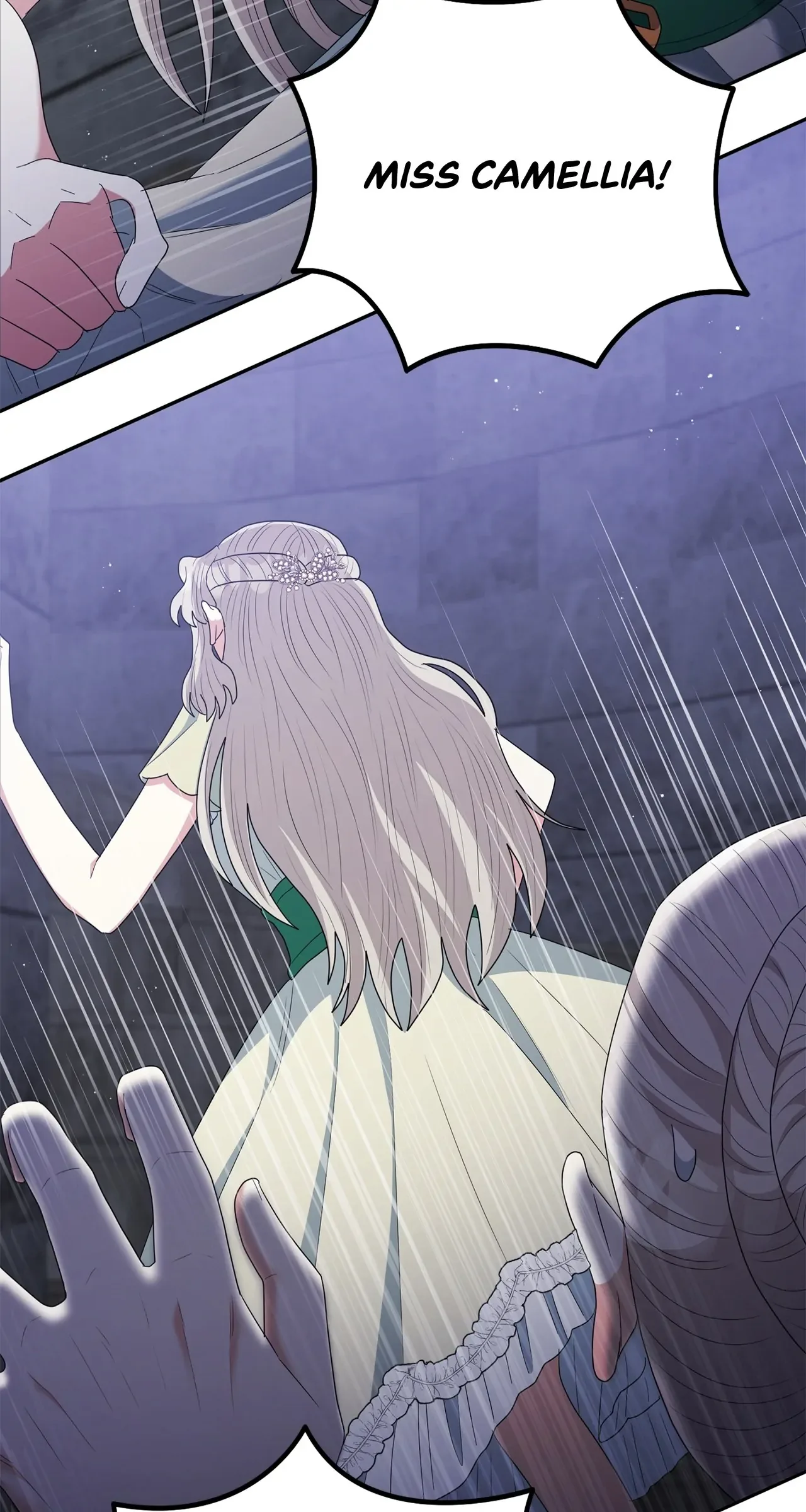 The Esteemed Lady of the Tea Garden Chapter 48 page 62