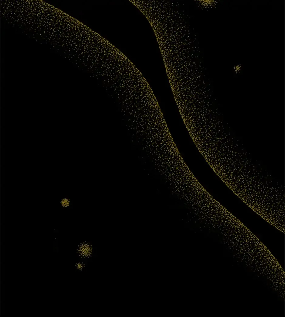 The Exhausting Reality of Novel Transmigration Chapter 24 page 49