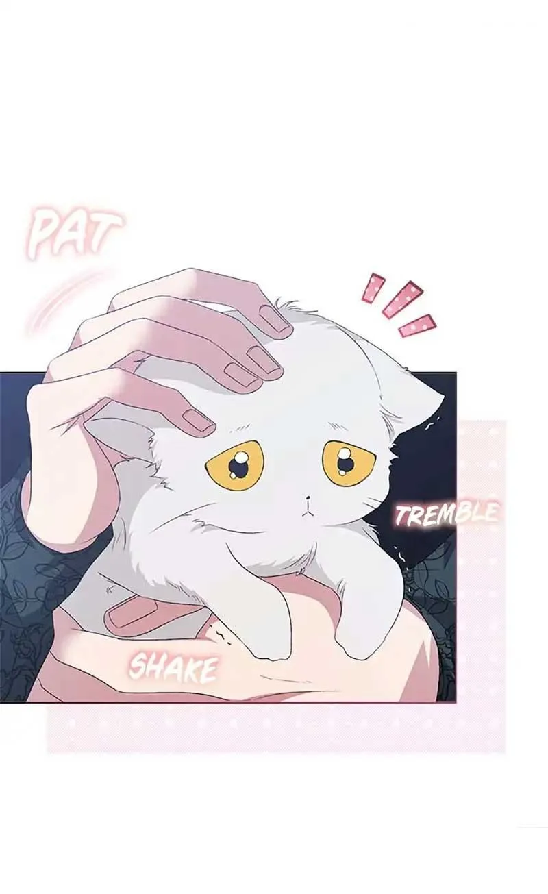 The Exhausting Reality of Novel Transmigration Chapter 58 page 15