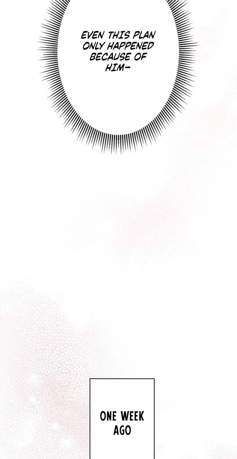 The Fiancé After the Rain Chapter 33 page 63