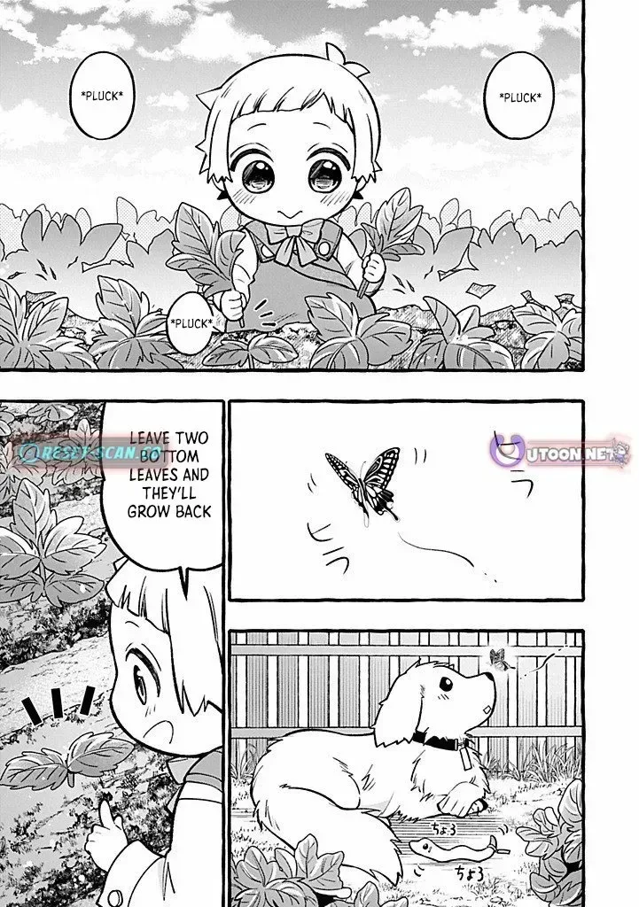 The Four Noble Siblings Won’t Give Up! ~Even Though We’re Little, We’ll Protect Our Precious Family Together with Our Big Fluffy Friends! Chapter 5.2 page 10