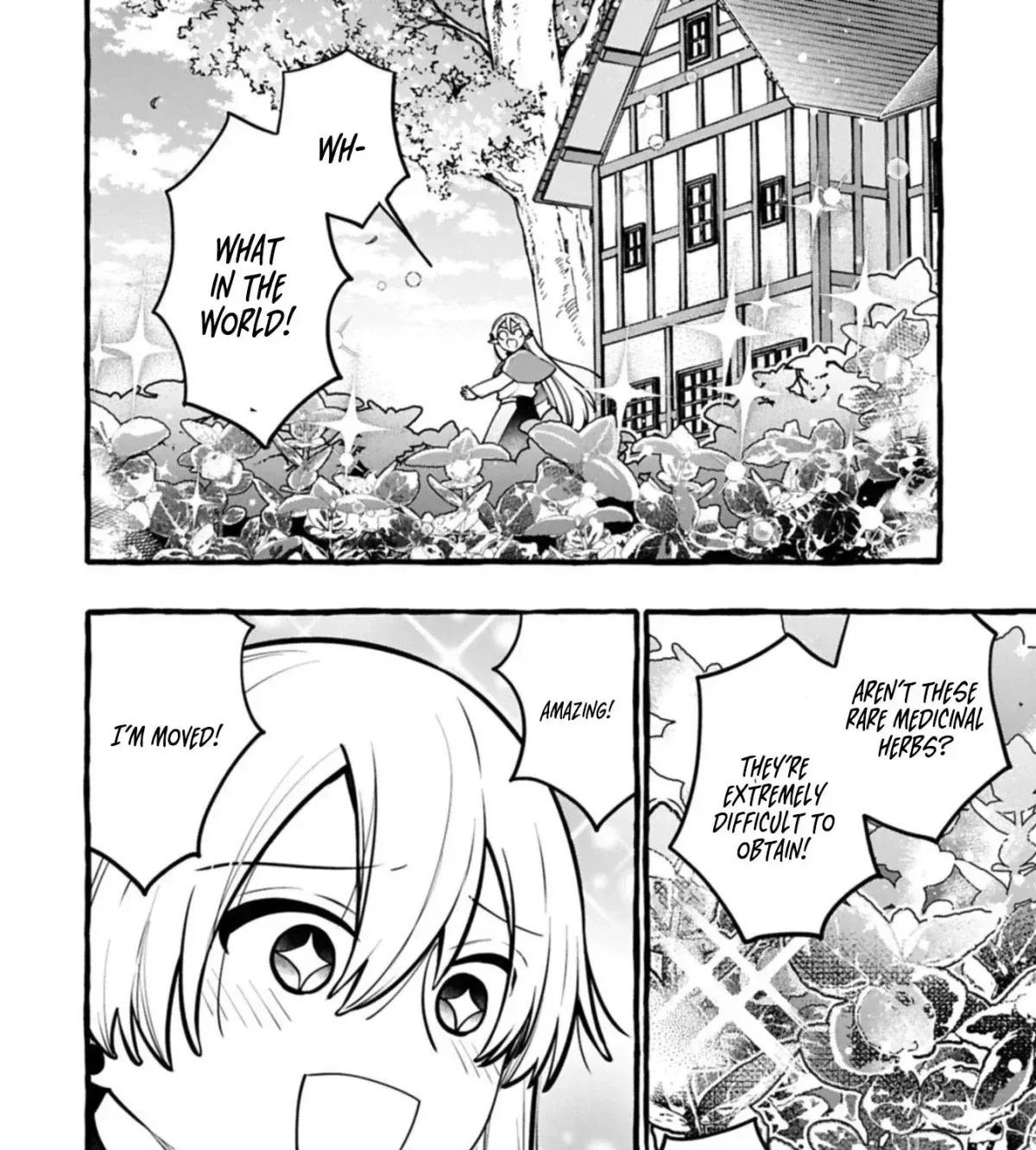 The Four Noble Siblings Won’t Give Up! ~Even Though We’re Little, We’ll Protect Our Precious Family Together with Our Big Fluffy Friends! Chapter 10.1 page 12