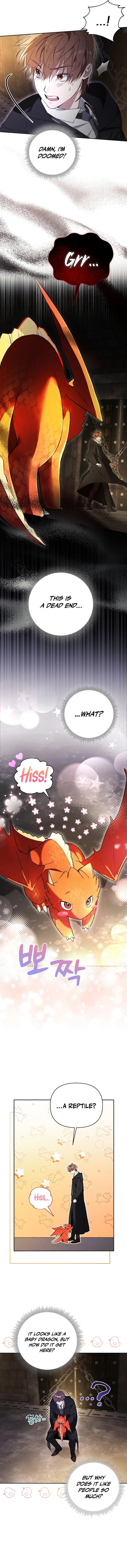 The Genius Tamer of the Academy Chapter 1 page 11
