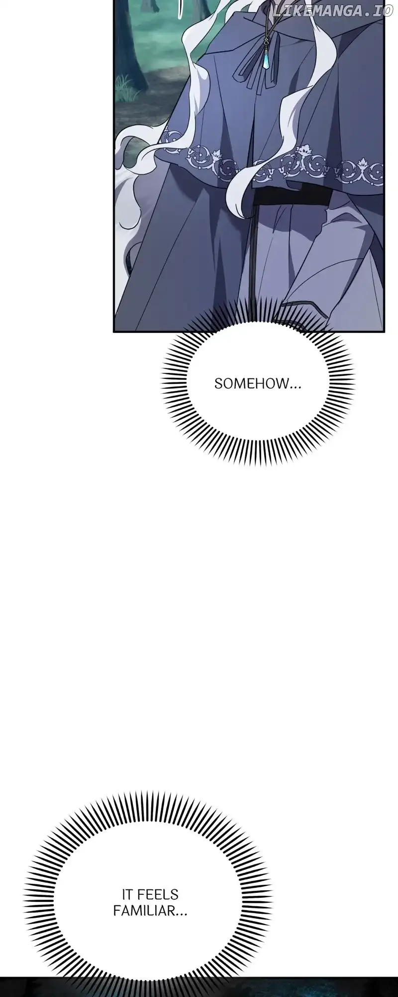 The Last Immortal’s Theorem Chapter 62 page 41