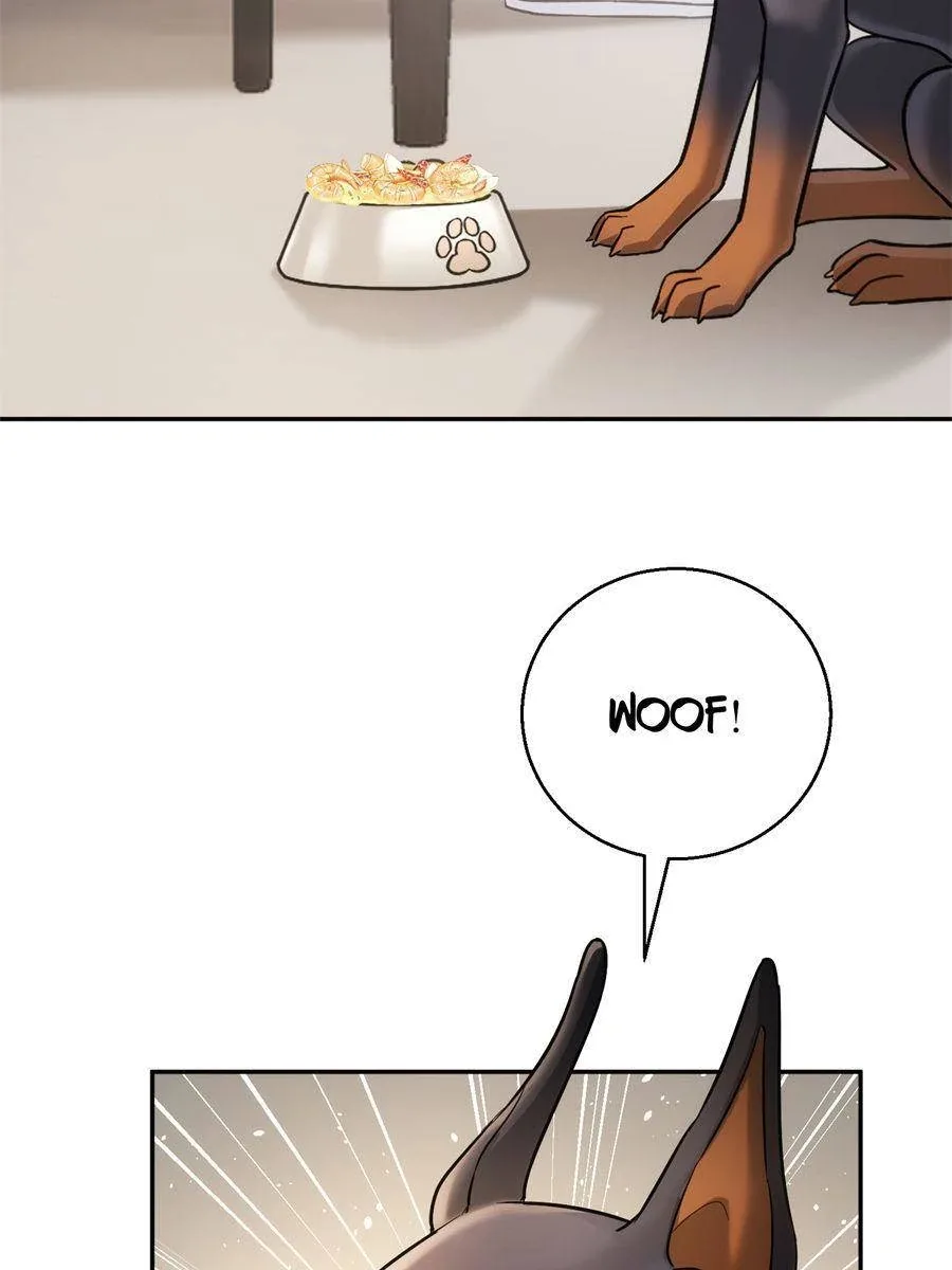 The Man Is A Real Dog Chapter 11 page 30